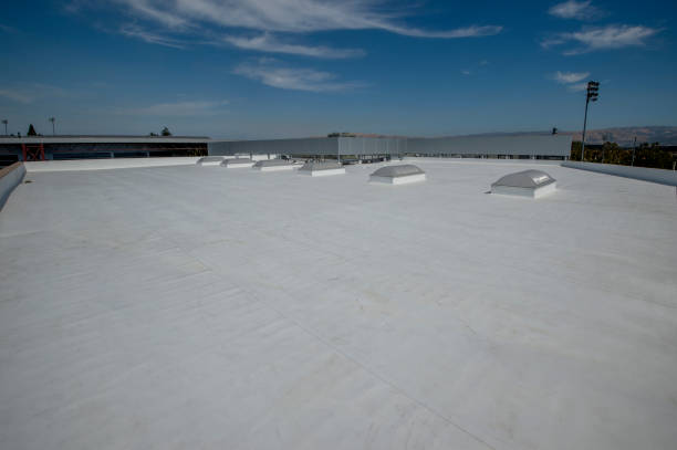 Best Solar Panel Roofing Installation  in Seymour, TX