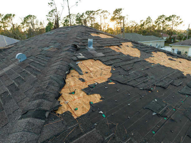 Best Roof Insulation Installation  in Seymour, TX
