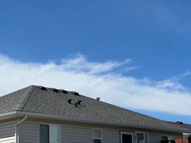 Best Roof Maintenance and Cleaning  in Seymour, TX